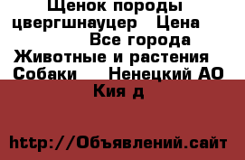 Щенок породы  цвергшнауцер › Цена ­ 30 000 - Все города Животные и растения » Собаки   . Ненецкий АО,Кия д.